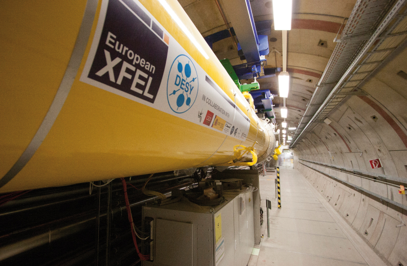 X-Fel: The European X-Ray Free-Electron Laser